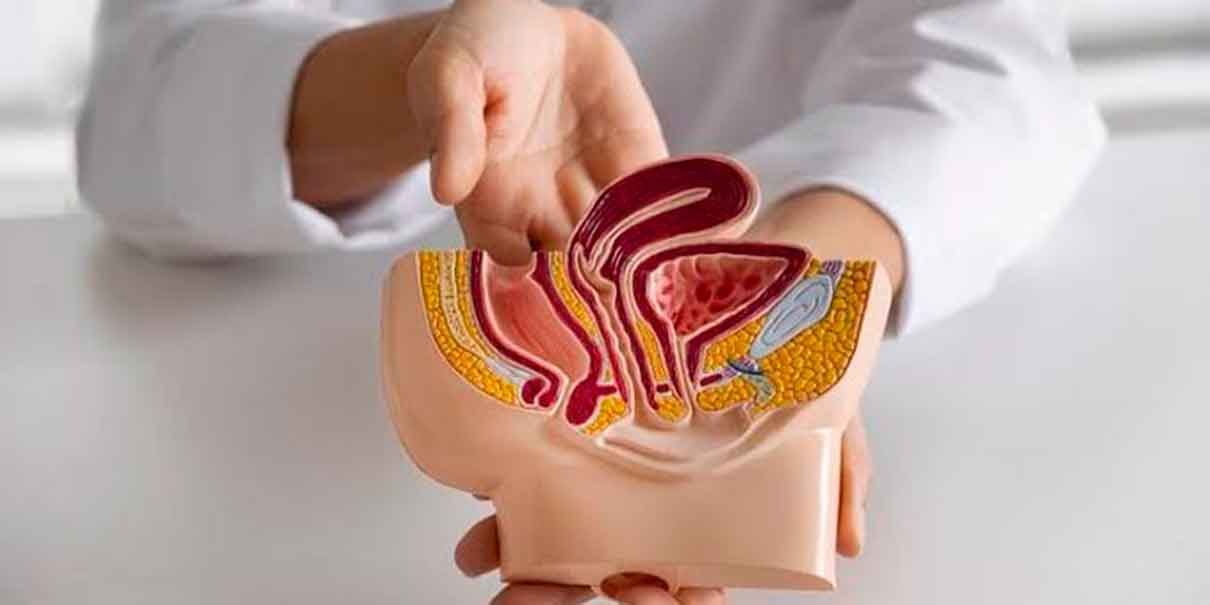 Explicación médica