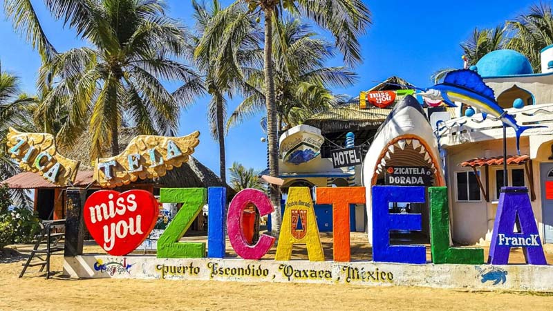 Todo sobre Puerto Escondido: guía rápida de precios, rutas y playas
