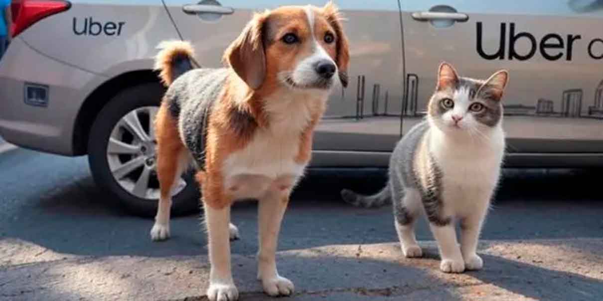 Uber pet