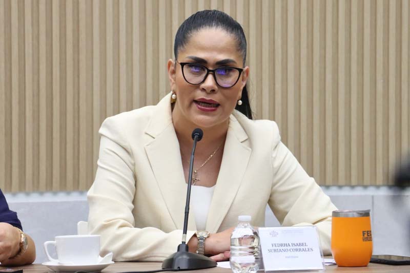 Fedrha Suriano propuso reconocer como víctimas a personas afectadas por daños al medio ambiente en Puebla