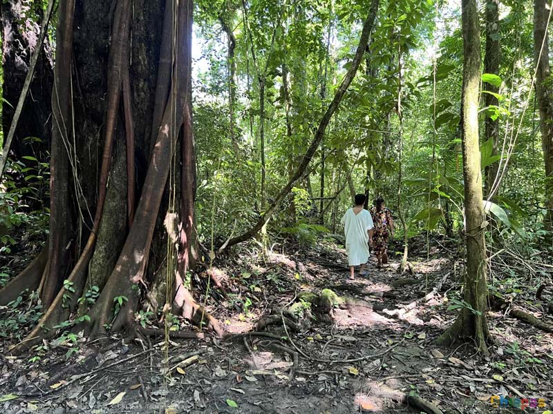 Zona Arqueológica de Bonampak: arte, historia y naturaleza en la selva de Chiapas