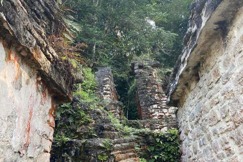 Zona Arqueológica de Bonampak: arte, historia y naturaleza en la selva de Chiapas