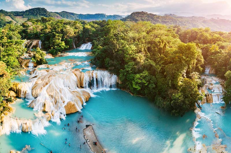 Zona Arqueológica de Palenque, Chiapas: la ciudad maya entre la selva que sigue revelando secretos