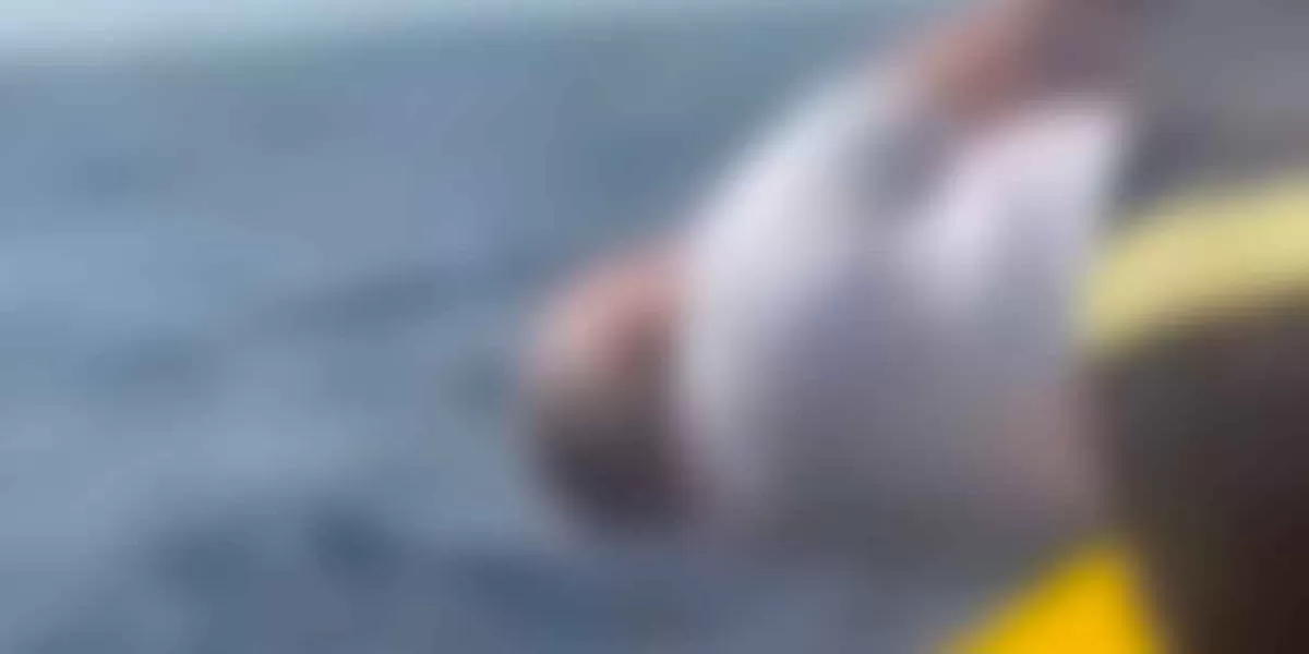 Temido narco venezolano fue lanzado con vida al mar atado de manos y pies