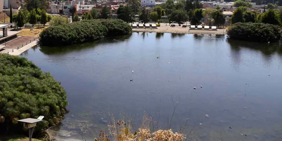 Altas temperaturas secan más rápido los espejos de agua en parques capitalinos