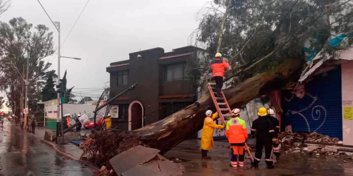 Protección Civil Municipal reportó que no hubo víctimas por la fuerte precipitación de ayer 