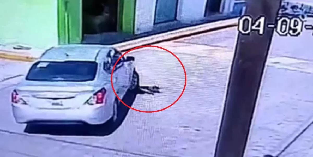 VIDEO. En Puebla, sujeto  es buscado después de atropellar con dolo a lomito