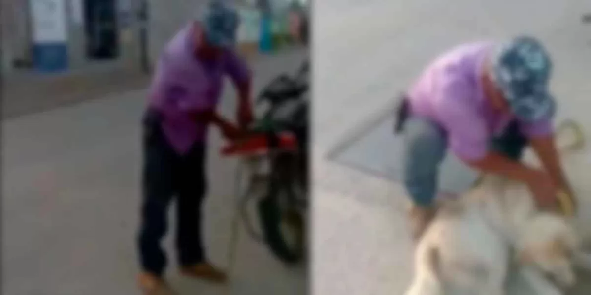 IMÁGENES SENSIBLES, en Oaxaca sujeto amarra a un can a su moto y lo arrastra por las calles