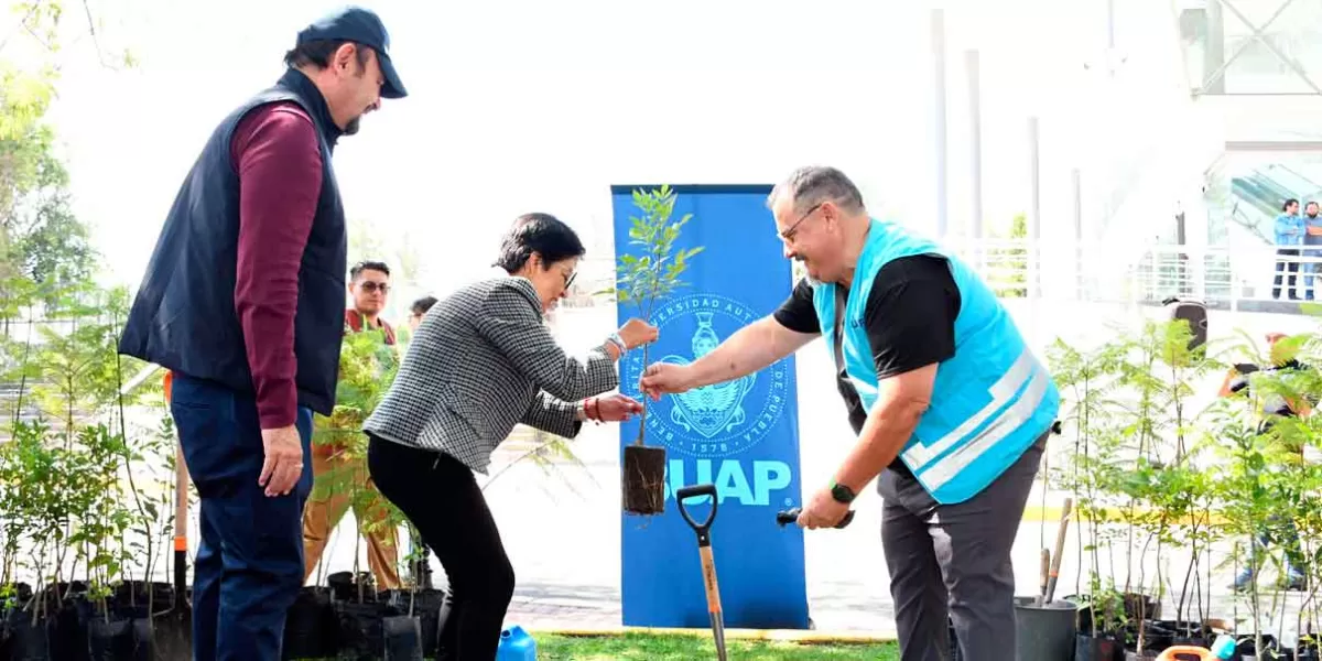 Se llevó a cabo el Maratón de Reforestación en sedes de la BUAP 
