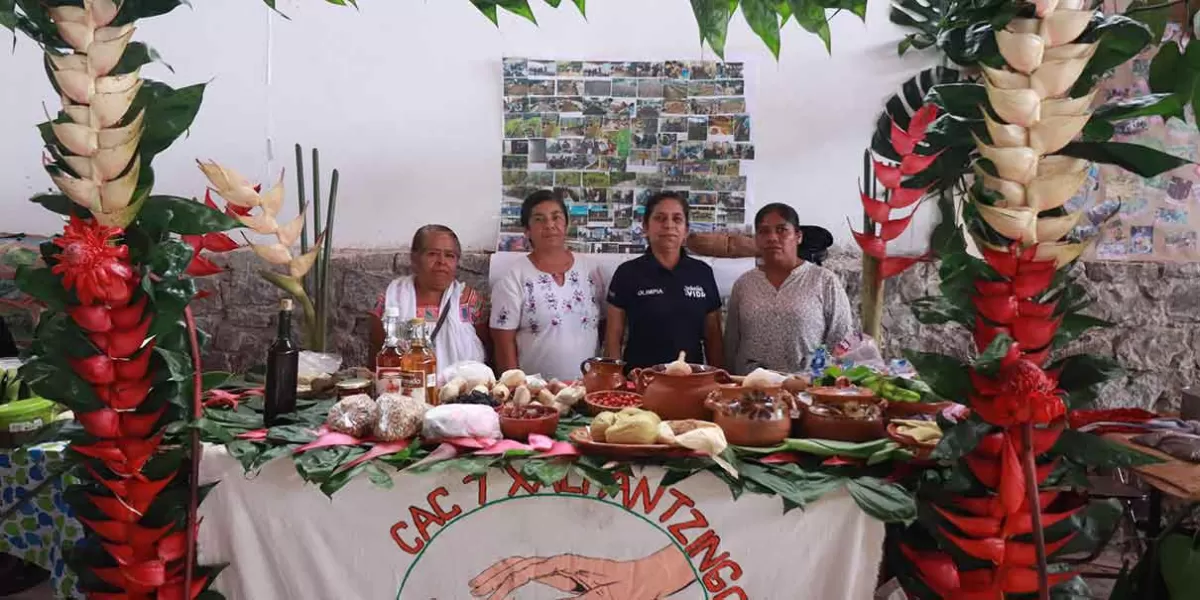 Por tres días, Puebla será sede de la Expo-Foro Sistemas Cafetaleros Sembrando Vidas