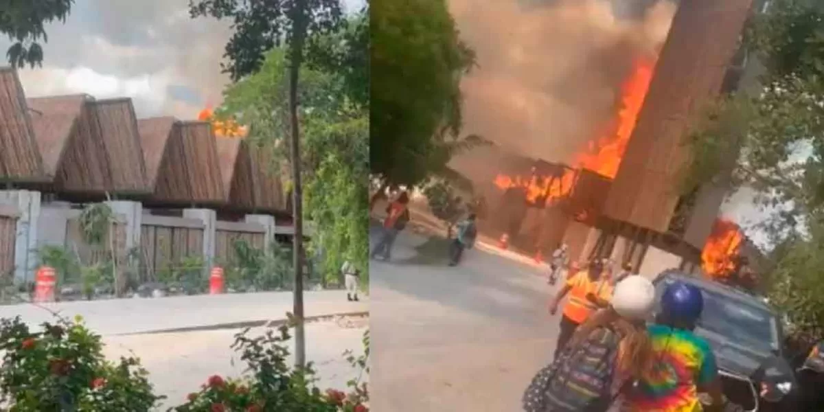 Se incendia mirador del Parque del Jaguar en Tulum; al menos 50% es consumido por las llamas