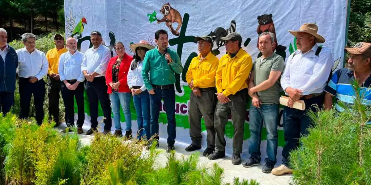 Con 32 mil árboles reforestan Teopancingo, Huauchinango, para preservar bosque y recargar mantos acuíferos
