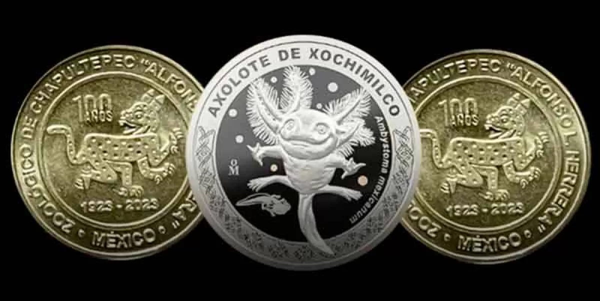 De esta manera puedes conseguir la moneda de ajolote de Xochimilco