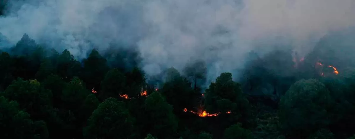 En 10 meses ardieron 8 mil 636 hectáreas de áreas verdes en Puebla: Conafor