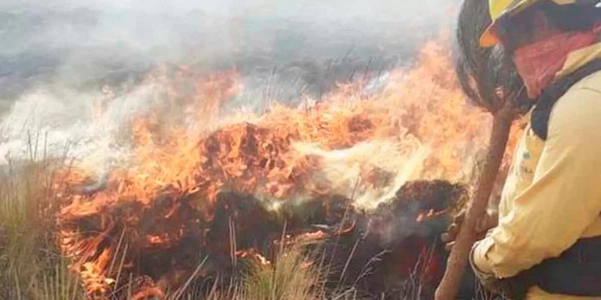 Se registra incendio forestal en la zona de Lafragua