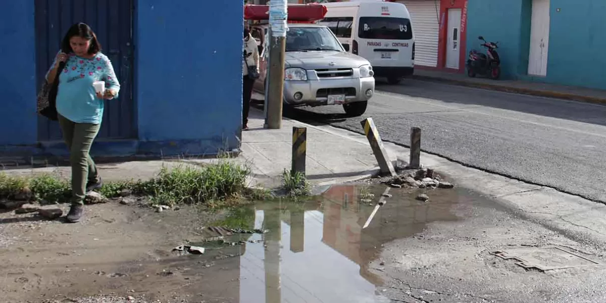 Más contagios de dengue en Puebla, ya suman 2 mil 769 casos 