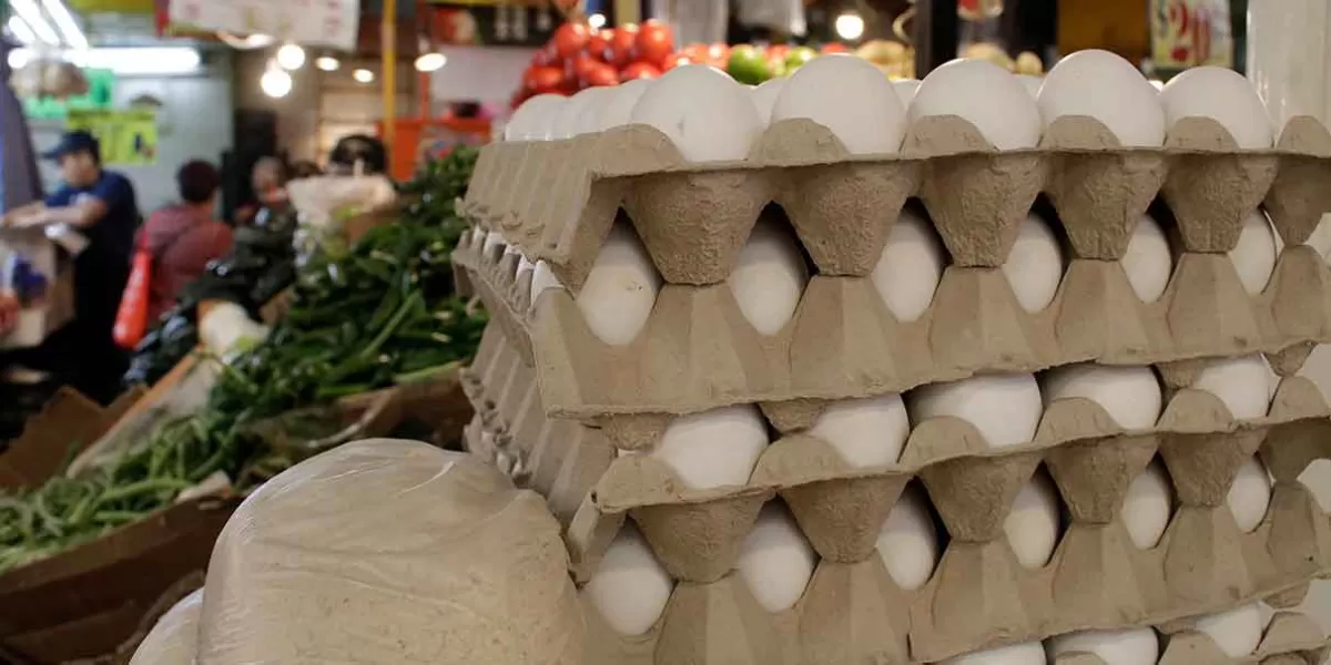 En Puebla, el precio del huevo está entre 42 y 44 pesos