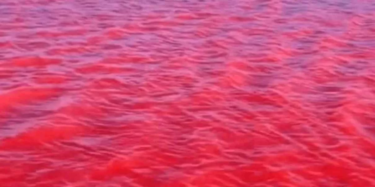 Río Nilo se pinta de rojo y revive presagio bíblico