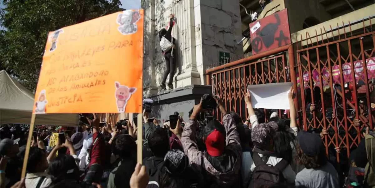 Activistas Protestan por la reapertura de la Plaza de Toros en la CDMX