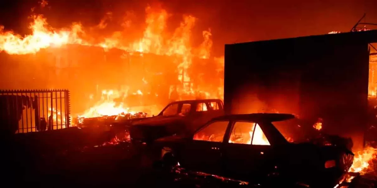 Incendios forestales arrasan con casas, autos, sueños y vidas de chilenos