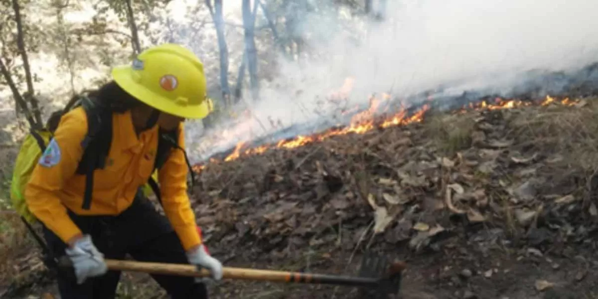 Puebla reporta 80 incendios forestales en lo que va del año en diferentes municipios