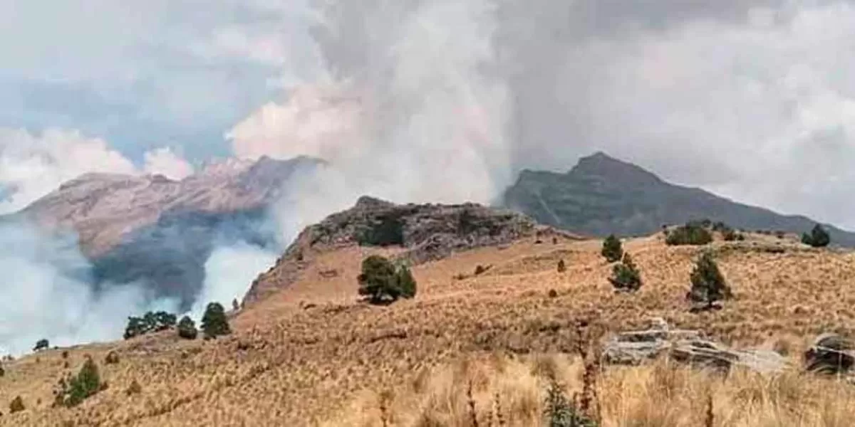 Incendio en el Izta-Popo por dejar fogata sin apagar