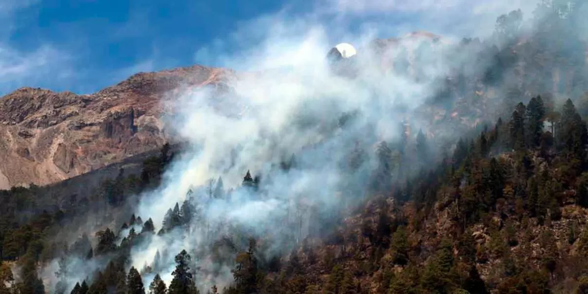 Se mantienen incendios forestales en El Verde, Tetela y Chilchotla