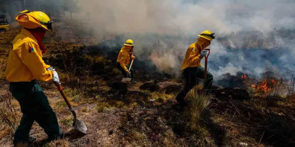 Llaman en Atlixco a evitar incendios forestales con estas RECOMENDACIONES