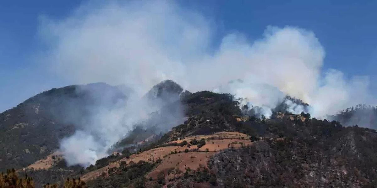 Puebla es séptimo lugar nacional en desastre ambiental por incendios forestales