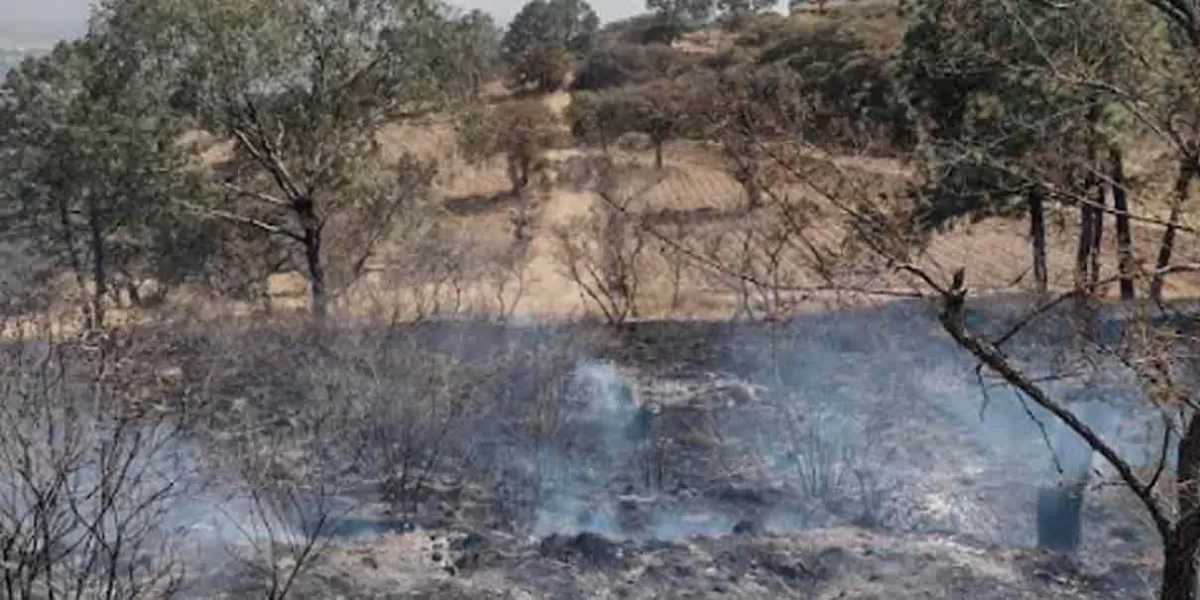 2 mil árboles quemados en el  cerro Totolquemec, en Texmelucan
