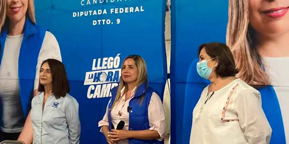 Pilar Morán, candidata a diputada federal de AN solicitó protección personal