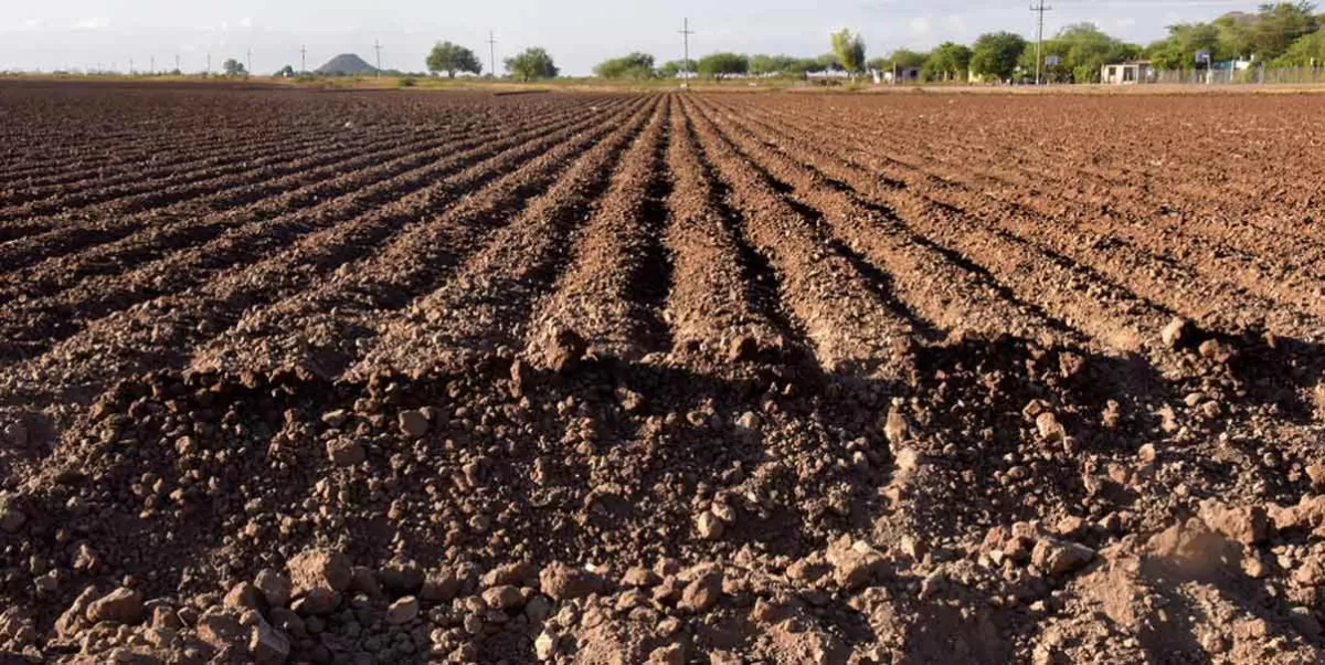 Senado llame a comparecer a magistrada agraria por despojo de tierras en Sonora: ejidatarios