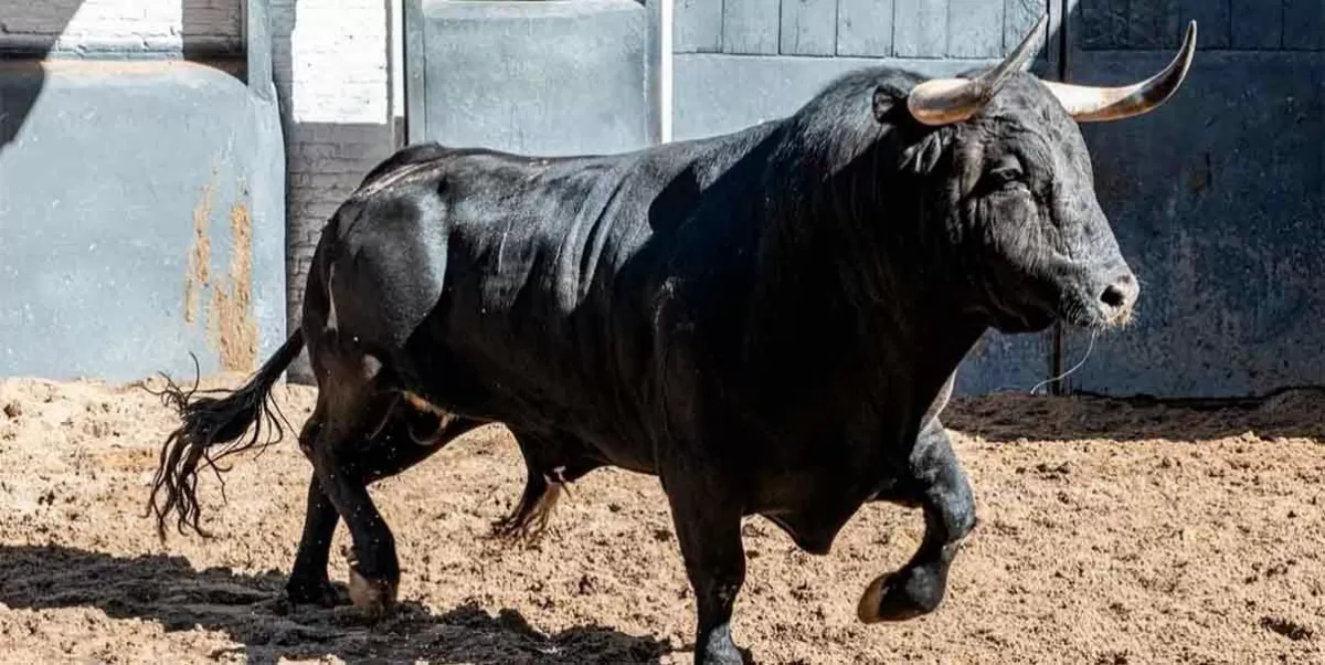 Aprueba Congreso de Colombia prohibir las corridas de toros