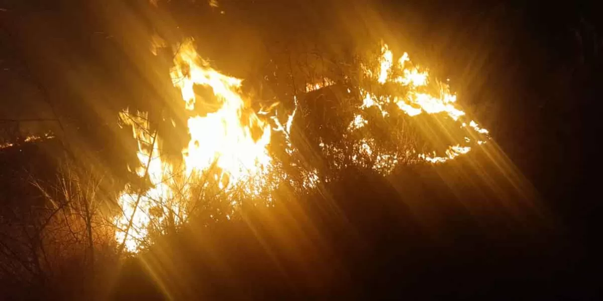 Por cuarta vez se incendia el cerro de San Francisco Tepeyacac en Texmelucan