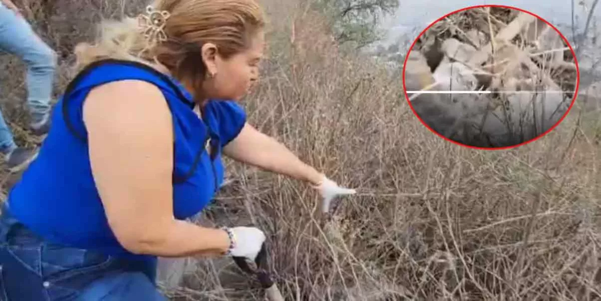 VIDEO. Ubica Madre Buscadora restos óseos en cerro de la CDMX