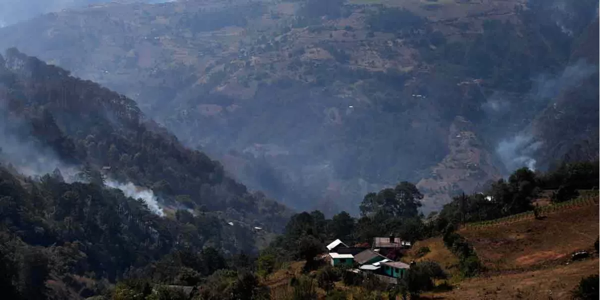 234 incendios forestales colocan a Puebla en cuarto lugar nacional 