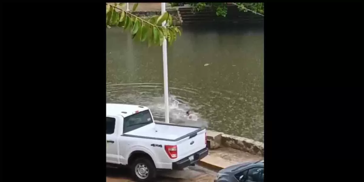 Sujeto se salva de ser atacado por cocodrilos en laguna de Tabasco