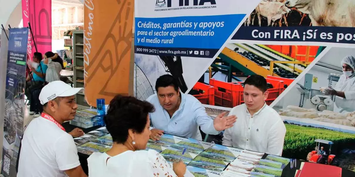 Economía capacita a Pymes para facilitar acceso al financiamiento “Juntos por Puebla”