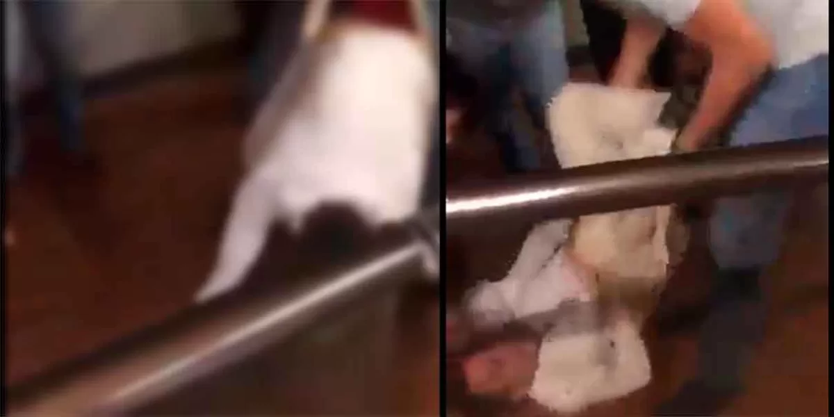 VIDEO. “Calzón chino” a ladrón que fue detenido por usuarios en el Metro de la CdMx