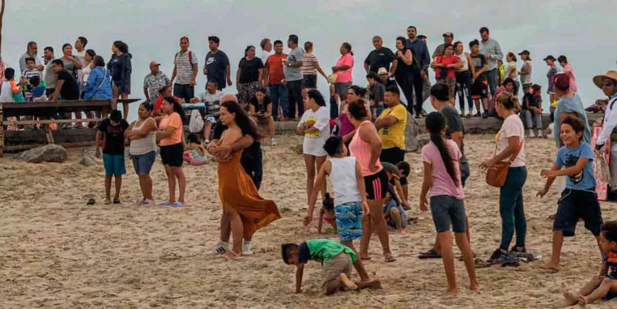 Avistan cocodrilo en playa de Miramar; genera pánico entre los bañistas