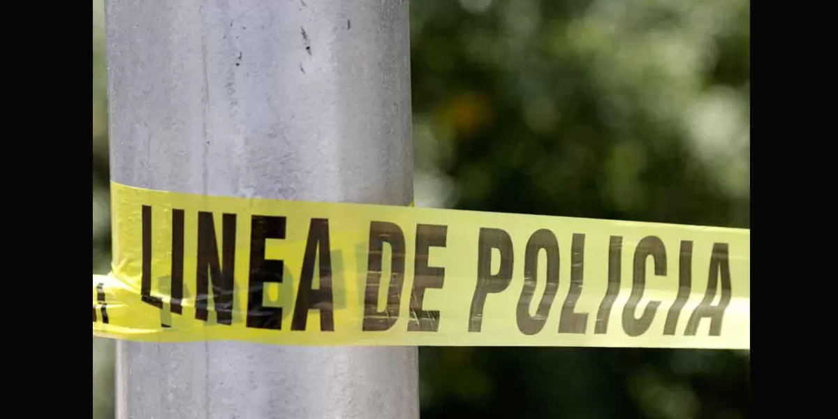 Policía de Aguascalientes es acusada de asesinar a la perrita lactante “Sombra”