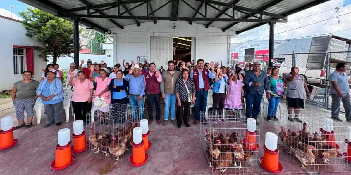 Ariadna Ayala entregó paquetes avícolas a mujeres emprendedoras de Atlixco   