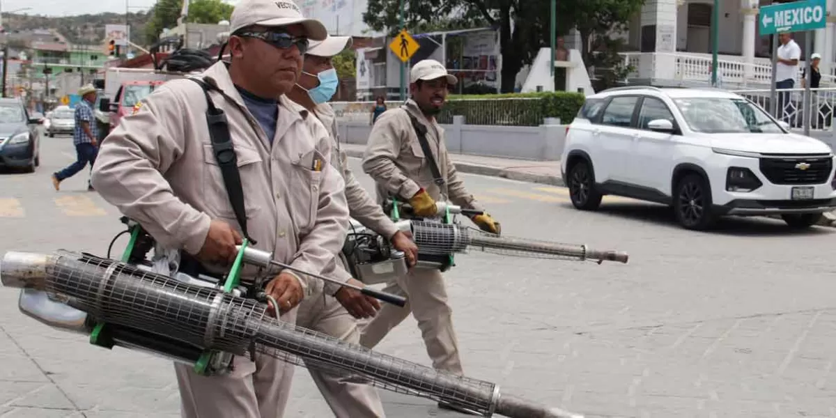 Detectan garrapatas en escuela de Nuevo León, hay perros infestados 