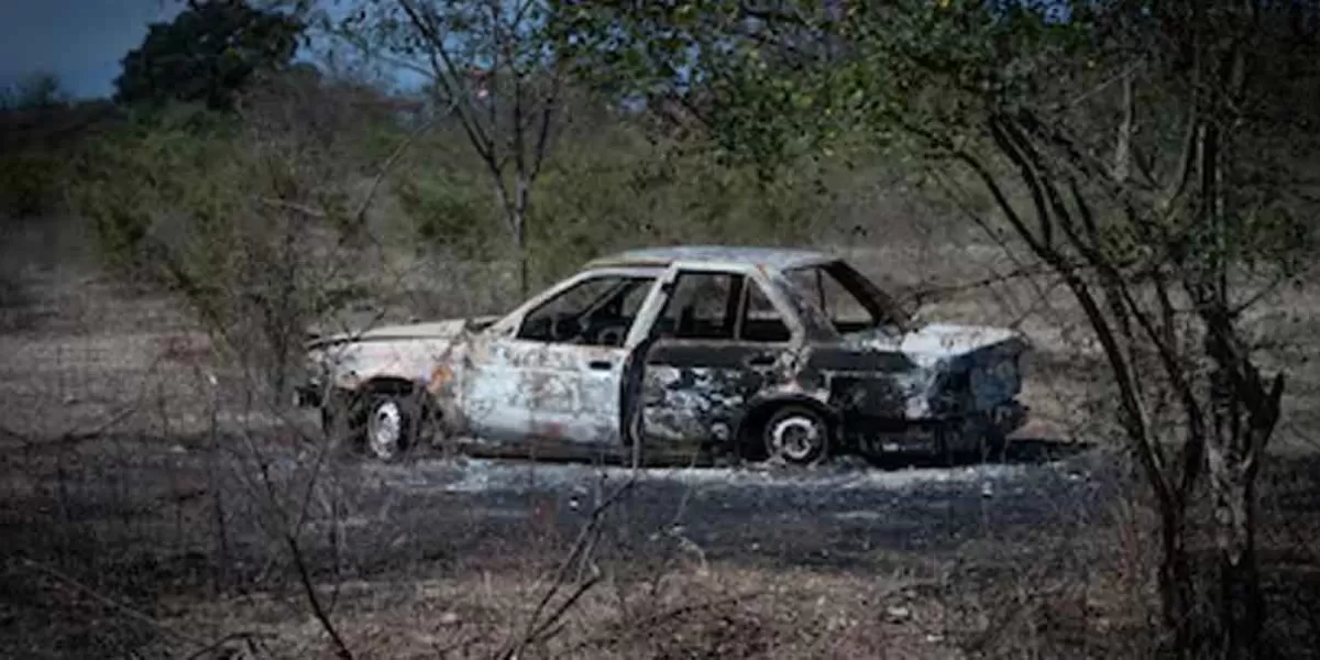 Las pandillas de alto impacto en México