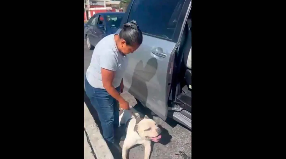 VIDEO. Perro era arrastrado por su dueña desde una camioneta, según lo sacó a pasear 