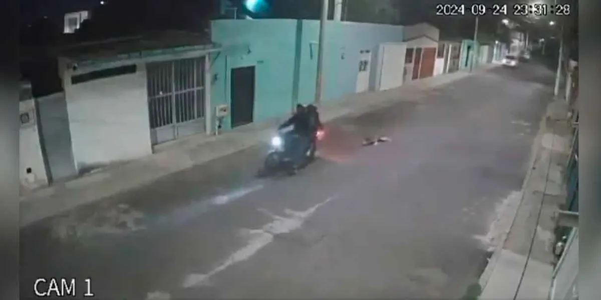 VIDEO. Perro husky es arrastrado por larga calle por motociclistas
