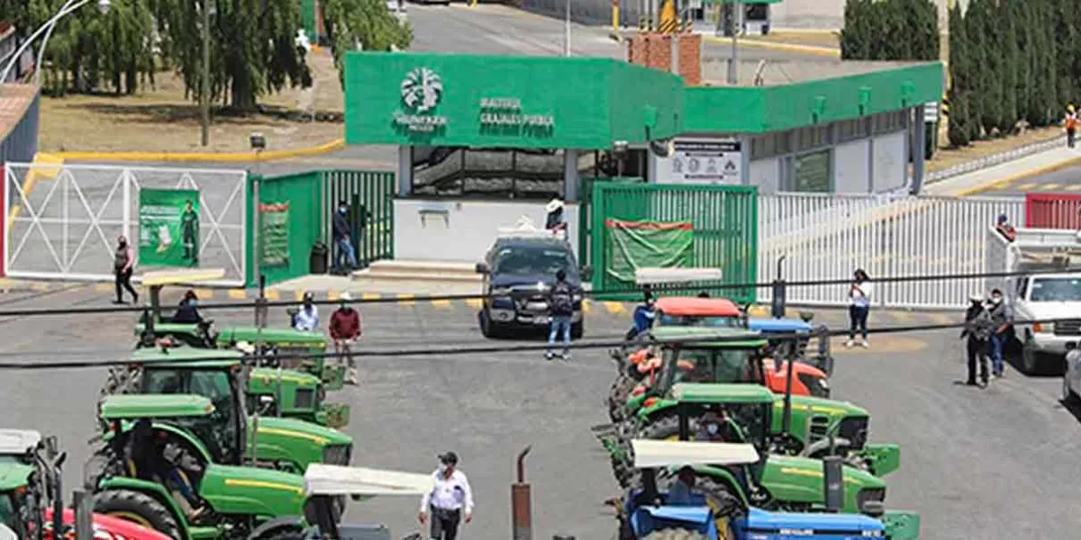 En secreto solucionan el conflicto entre productores de cebada y Heineken