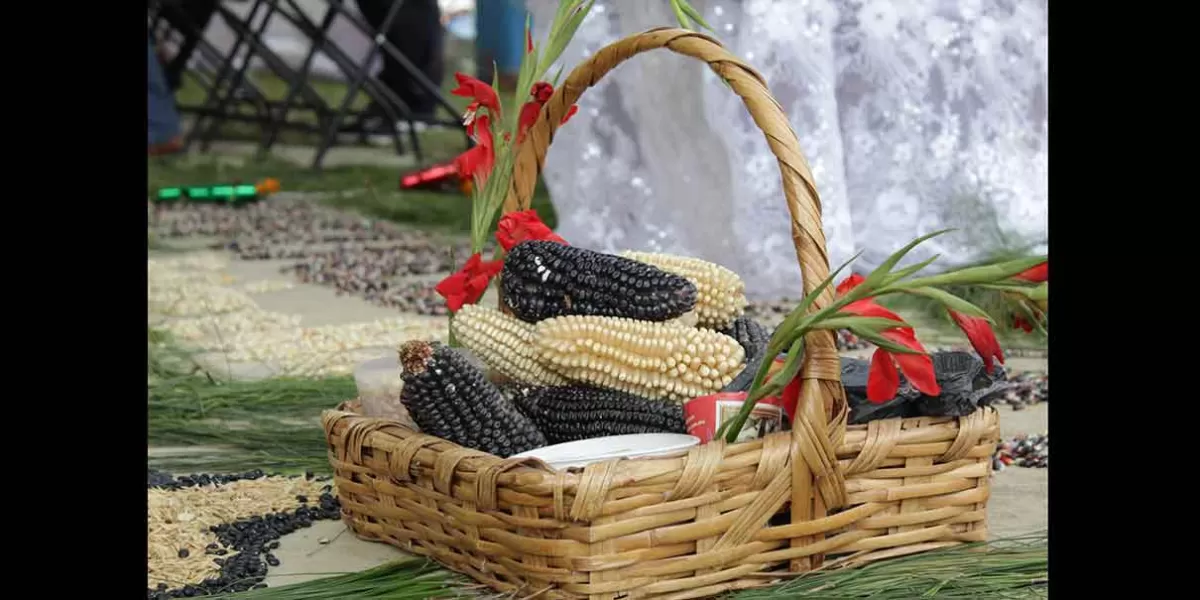 En Tetela de Ocampo el colectivo "Rescate de la Milpa" destaca muestra gastronómica de Puebla