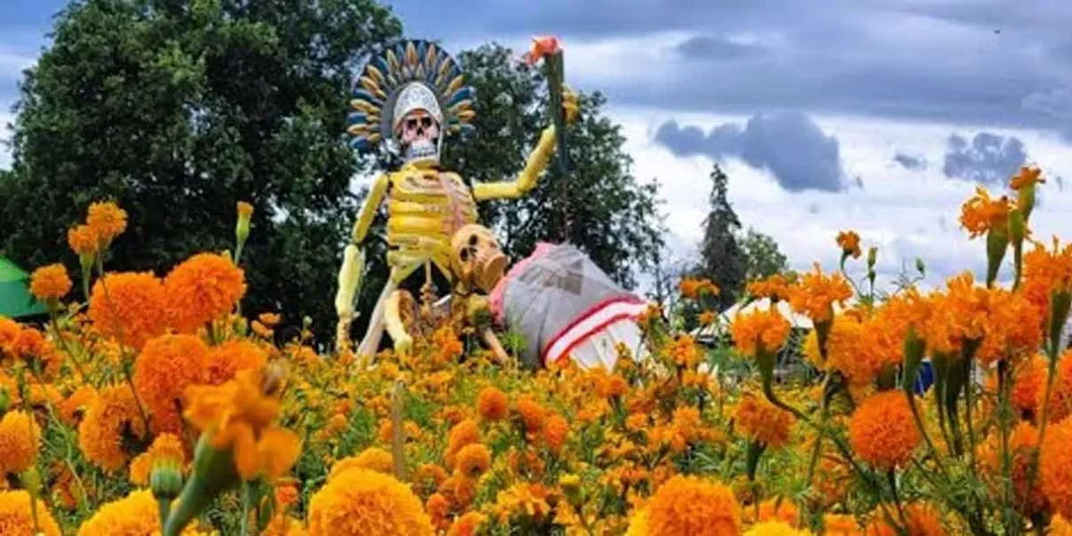 Alistan la Tercera Feria de la Flor de Cempasúchil en Atlixco