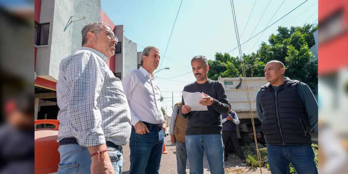 Pepe Chedraui supervisa retiro de un árbol por seguridad de vecinos 